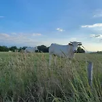 O Ptit D'ogenne