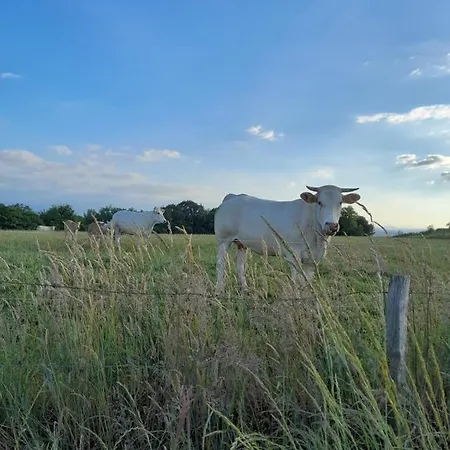 O Ptit D'ogenne